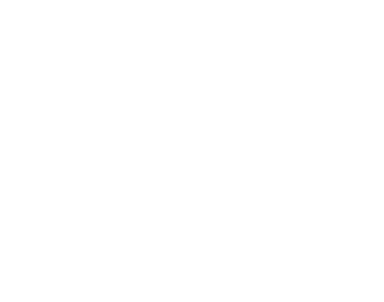 iMicro Information Technology